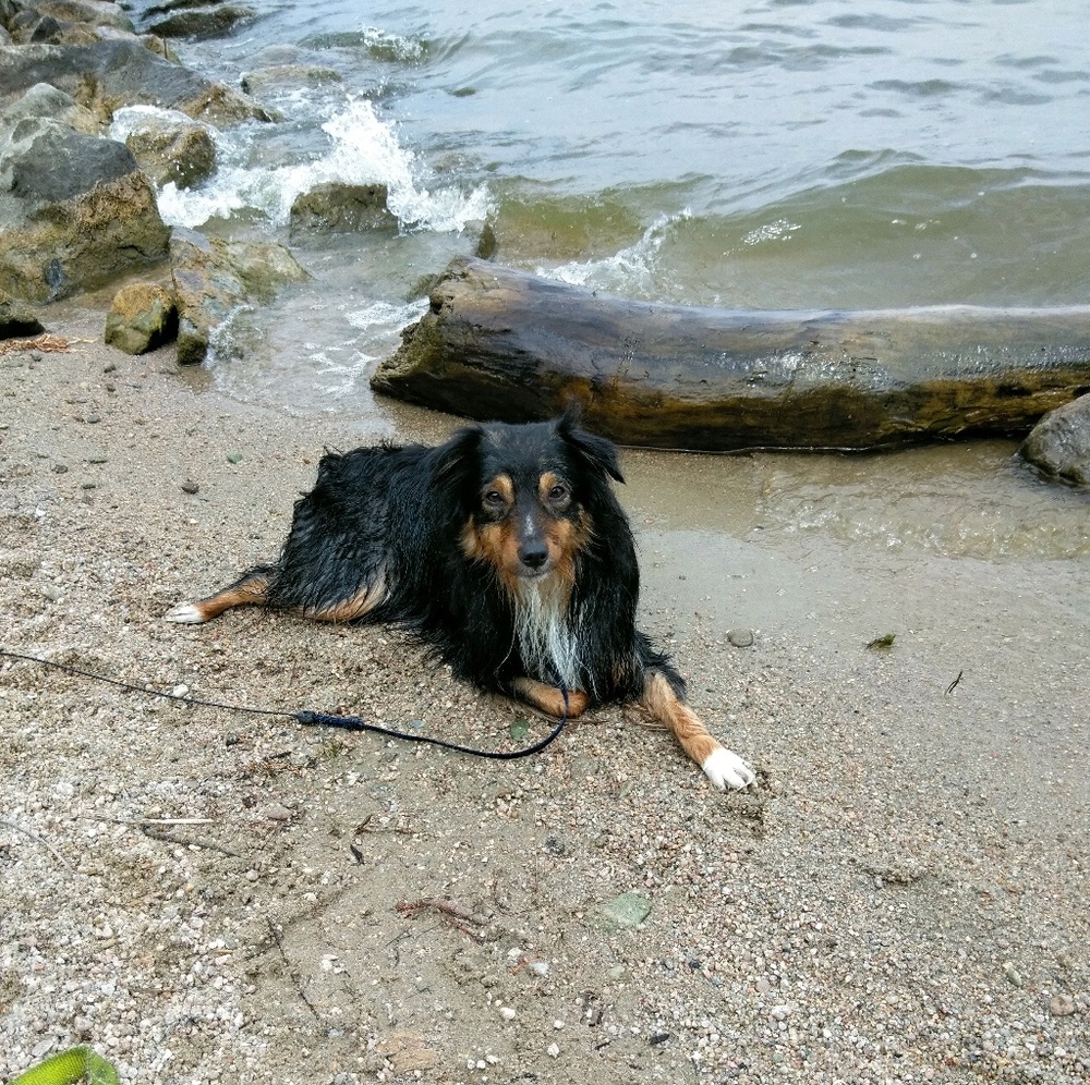 Posh Ambassador Missy